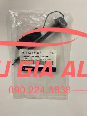 CẢM BIẾN NGẮT LẠNH KIA MORNING, HYUNDAI EON 2 z6981017496851 38168326e2bca028450f5ea1fda40074