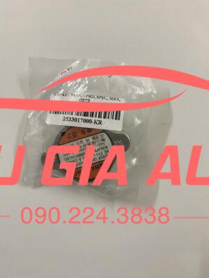 NẮP KÉT NƯỚC KIA PRIDE SPECTRA MORNING HYUNDAI GETZ 2 z6981140552767 36bec9b68913b9c0afc3ee33b3baa27e