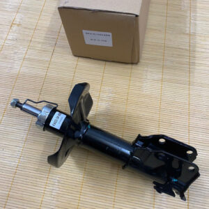 GIẢM XÓC TRƯỚC TRÁI FORD LASER 1 z6895377141066 d86a2c54d8802467be2ae5f886b49f79