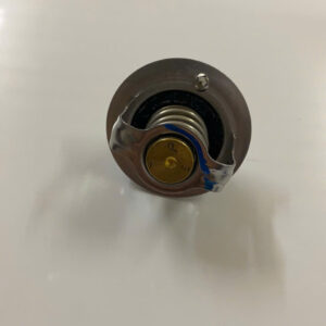 VAN HẰNG NHIỆT KIA SPECTRA 2 z6895392987245 1824daeb10096029133d067569c6b739