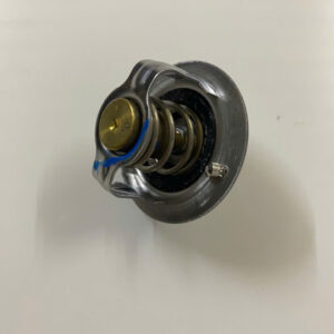 VAN HẰNG NHIỆT KIA SPECTRA 4 z6895393009205 1ba2949f3b8736810f99651a06080633