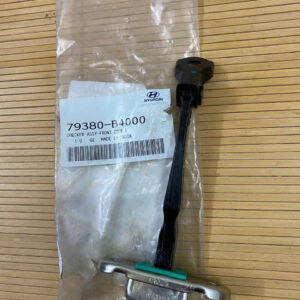 HẠN CHẾ CÁNH CỬA TRƯỚC HYUNDAI GRAND I10 1 z6888608483373 07b15ced2814e05b4793dbf141fc3ef5