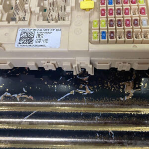 z7360696224656 2255b01d6c09c28bb7df62f8341ca558