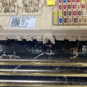 z7360696238059 931f79e1a4c0fb48737c7dfa09513e83